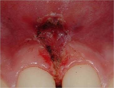 Int J Med Sci Image