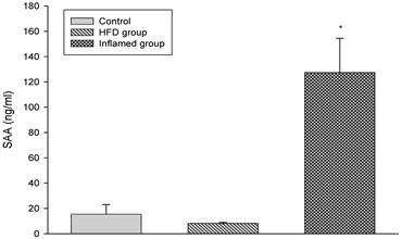 Int J Med Sci Image
