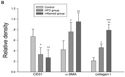 Int J Med Sci Image
