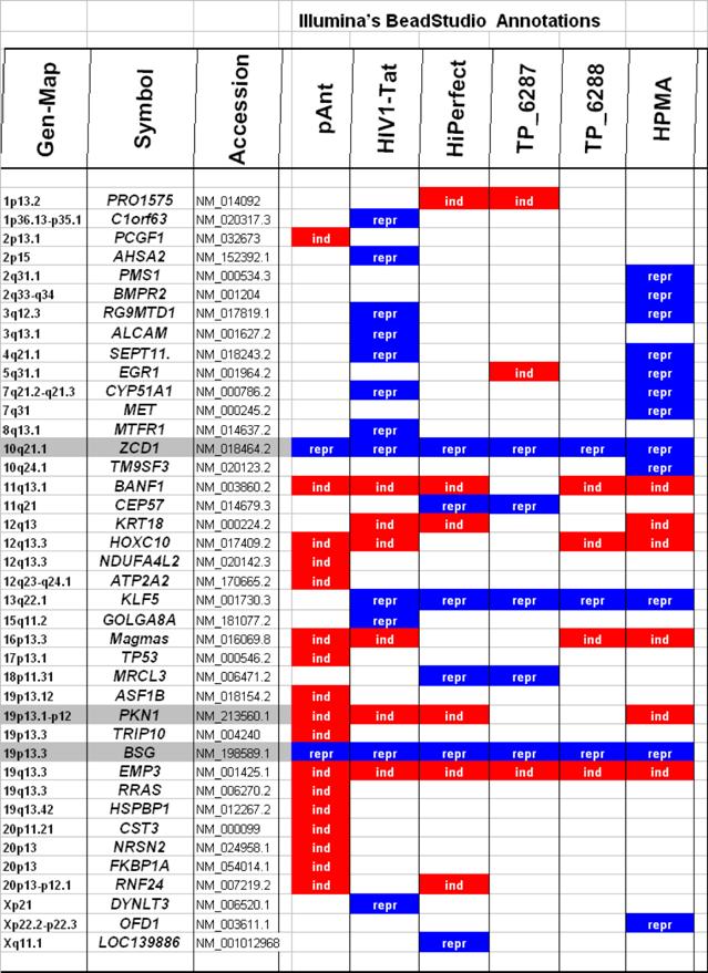 Refseq Accession Version