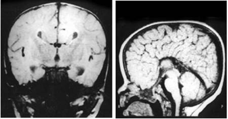 Int J Med Sci Image