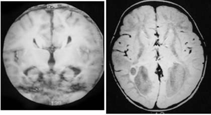Int J Med Sci Image