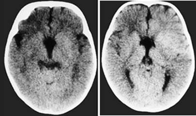Int J Med Sci Image