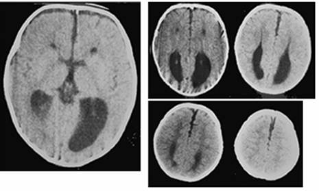 Int J Med Sci Image