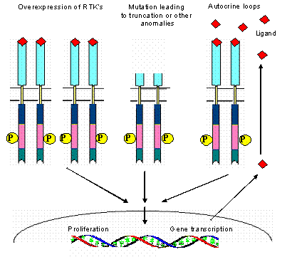 Int J Med Sci Image