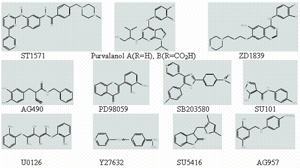 Int J Med Sci Image