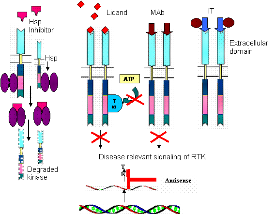 Int J Med Sci Image