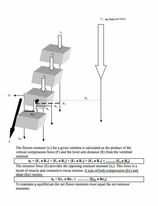 Int J Med Sci Image