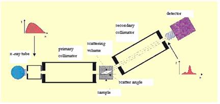 Int J Med Sci Image