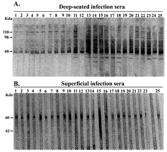 Int J Med Sci Image