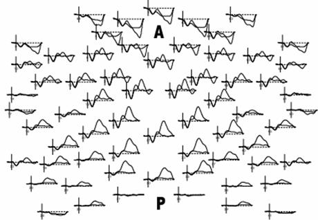 Int J Med Sci Image