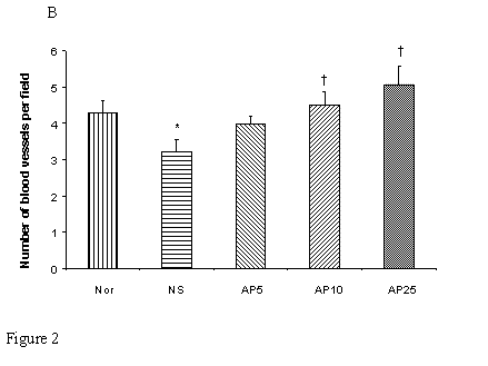 Int J Med Sci Image