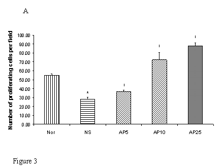 Int J Med Sci Image