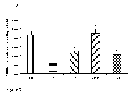 Int J Med Sci Image