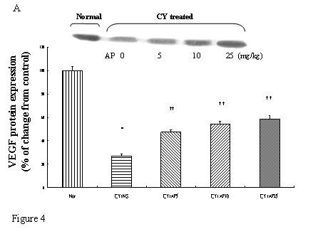 Int J Med Sci Image