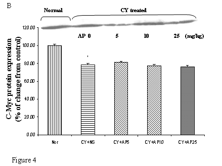 Int J Med Sci Image