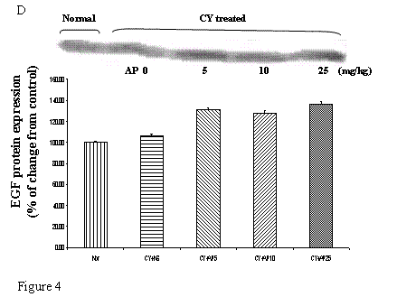 Int J Med Sci Image