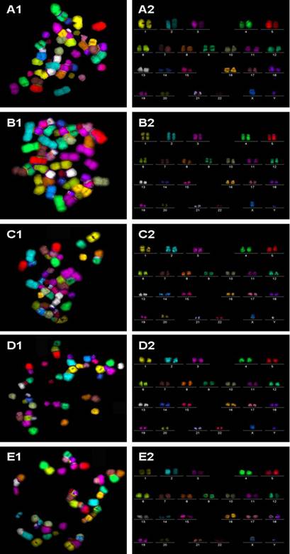 Int J Med Sci Image