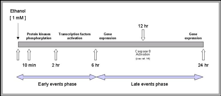 Int J Med Sci Image