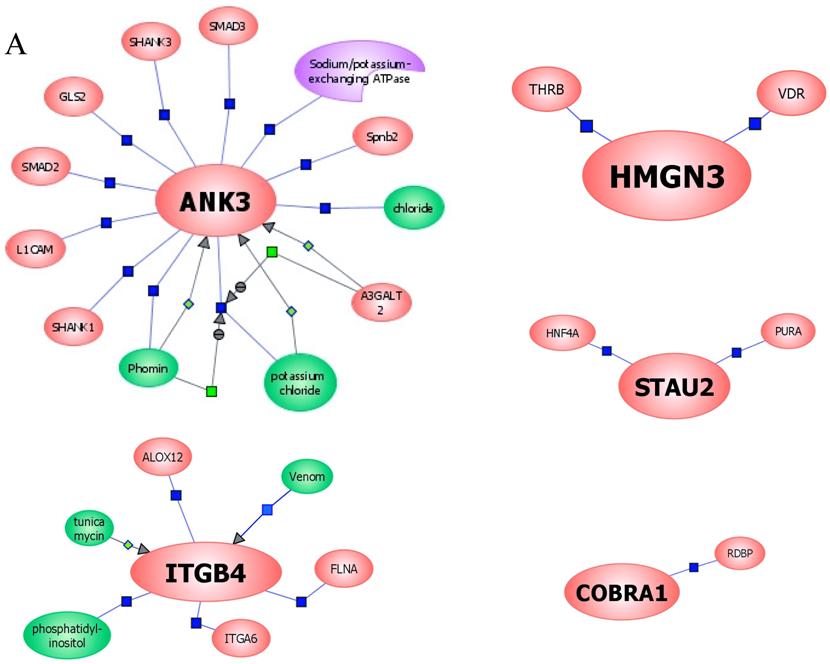 Int J Med Sci Image