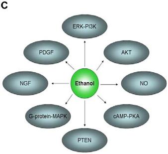 Int J Med Sci Image