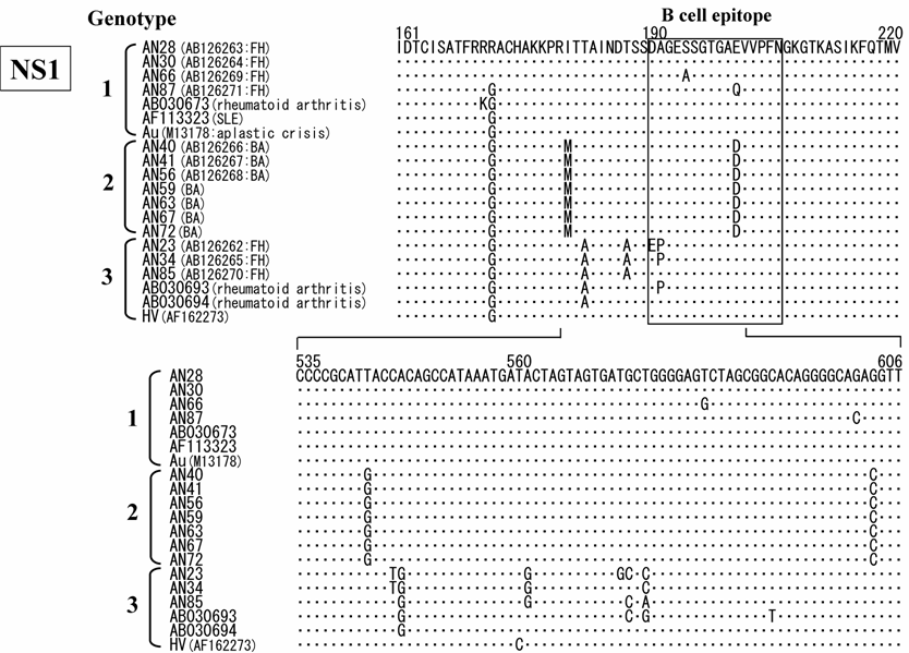 Int J Med Sci Image