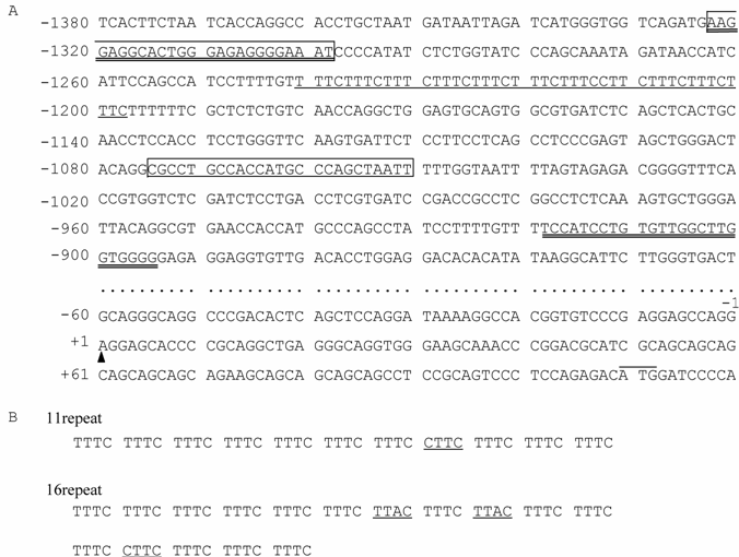 Int J Med Sci Image