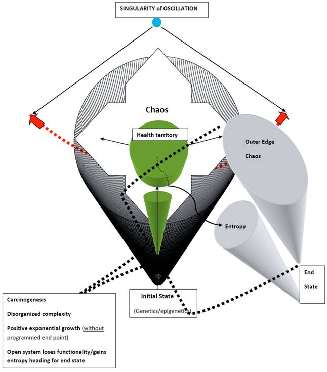 Int J Med Sci Image