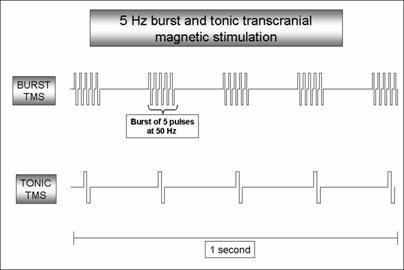 Int J Med Sci Image