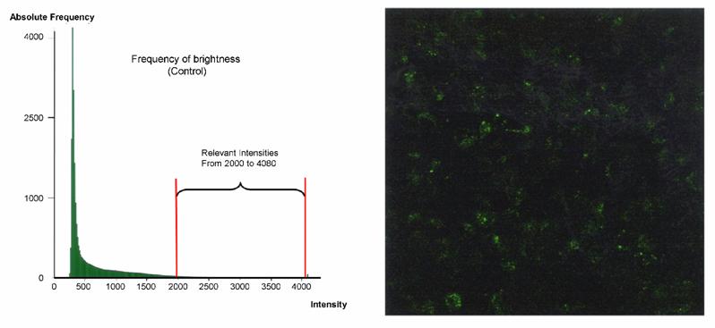 Int J Med Sci Image