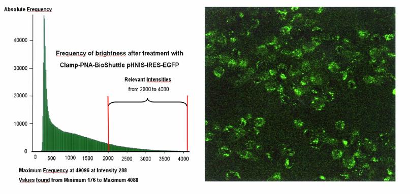 Int J Med Sci Image