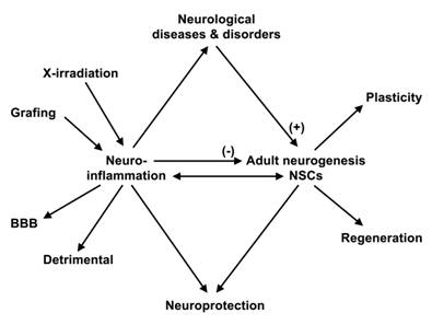 Int J Med Sci Image