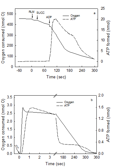 Int J Med Sci Image