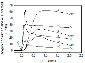 Int J Med Sci Image