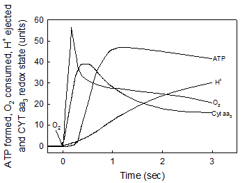 Int J Med Sci Image