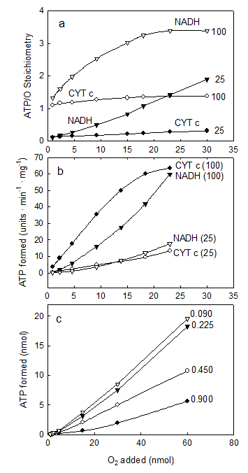 Int J Med Sci Image