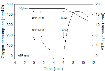 Int J Med Sci Image