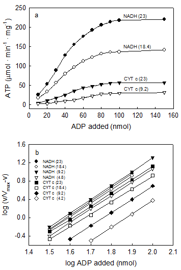 Int J Med Sci Image