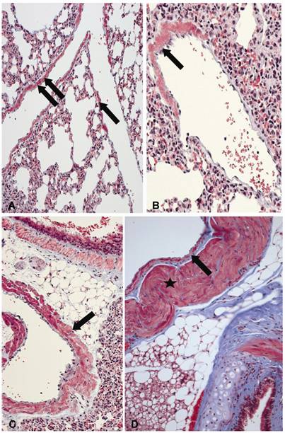 Int J Med Sci Image