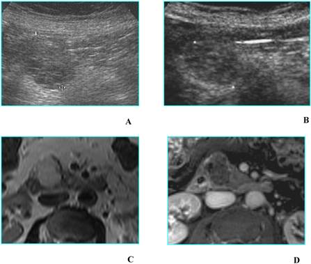 Int J Med Sci Image