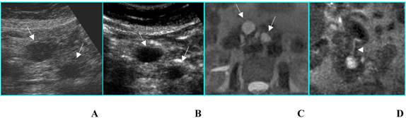 Int J Med Sci Image