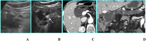 Int J Med Sci Image