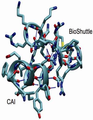 Int J Med Sci Image