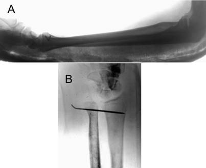 Int J Med Sci Image