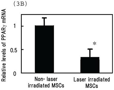 Int J Med Sci Image