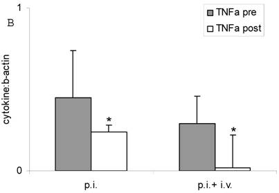 Int J Med Sci Image