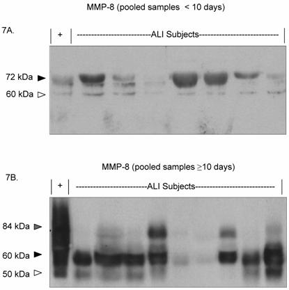 Int J Med Sci Image