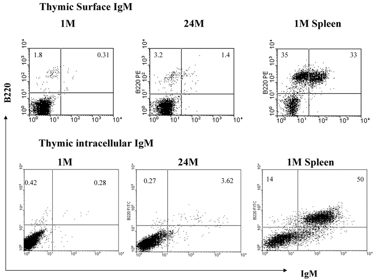 Int J Med Sci Image