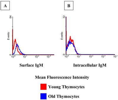 Int J Med Sci Image