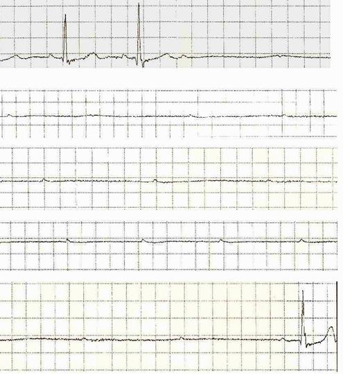 Int J Med Sci Image